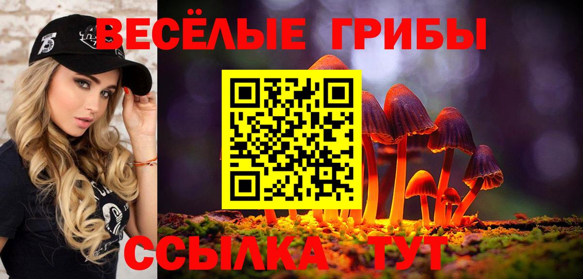 Галлюциногенные грибы GOLDEN TEACHER Псков